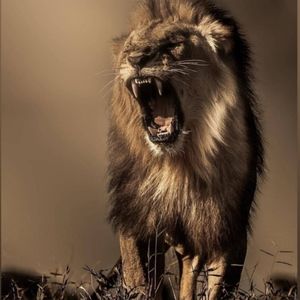 Meet your Posher, Mario